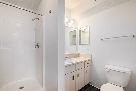 Second bath with walk-in shower at Trillium Pointe Apartment Homes in Jackson, MI