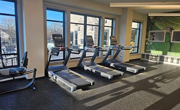 A gym with treadmills and exercise equipment