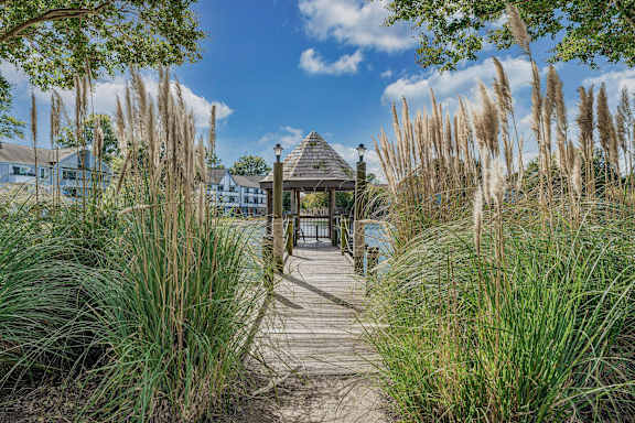 Community Exterior and Green Walkways at WaterFront Apartments, Virginia, 23453