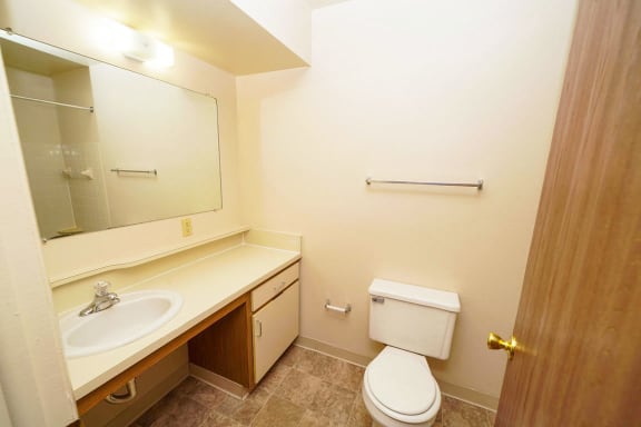 a bathroom with a toilet and a sink and a mirror at Windmill Lakes Apartments, Holland, 49424