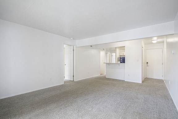 A large, empty room with carpeted flooring and white walls.
