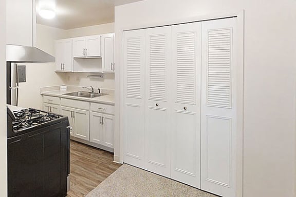Large Closets at Wood Creek Apartments in Kenosha, WI