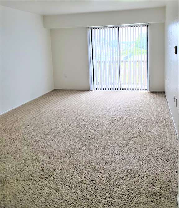A living room with a carpeted floor and a sliding glass door.
