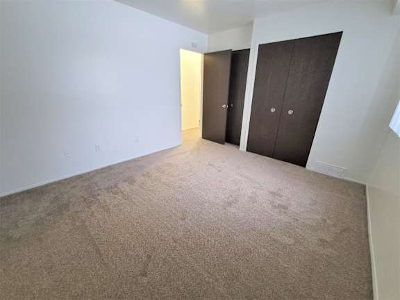 A befroom with carpeted floor and two brown doors.