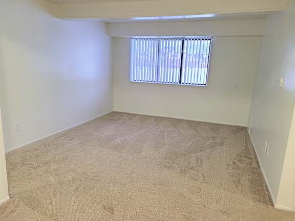 A living room with a carpeted floor and a window with blinds.