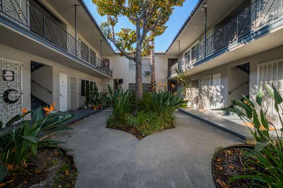 A courtyard with a tree surrounded by buildings.