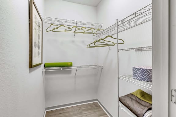 at Pearce at Pavilion Luxury Apartments, Riverview, FL, Florida