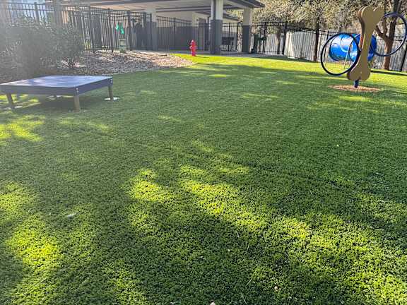 A backyard with a green lawn and a blue trampoline.