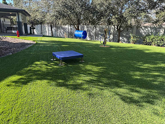 A backyard with a blue table and a fire hydrant.