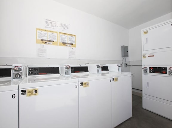 A row of washing machines are lined up in a laundromat.