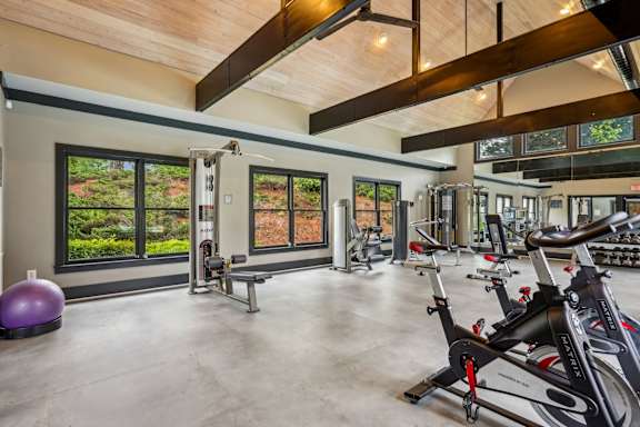 A gym with exercise equipment and a view of trees outside the windows.