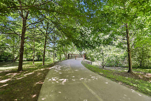 A tree-lined pathway in a park.