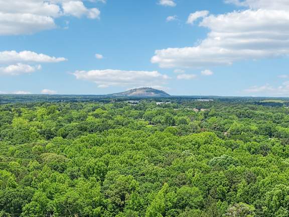 A lush green forest stretches out to a distant hill under a blue sky with scattered clouds.