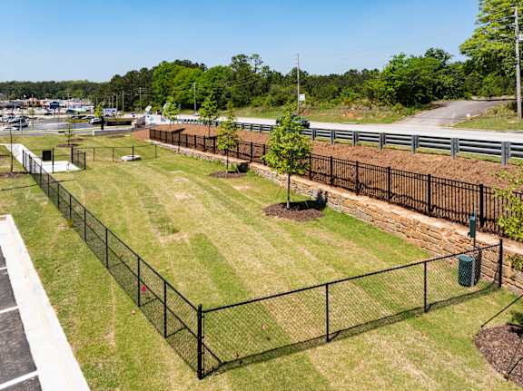 Dog Park
