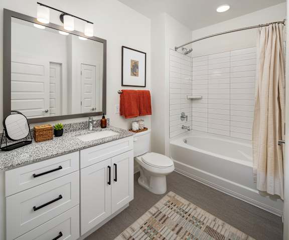 Stand Up / Garden Tub Showers