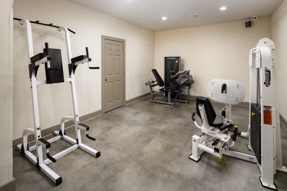 a gym with exercise equipment and weights in a treatment room