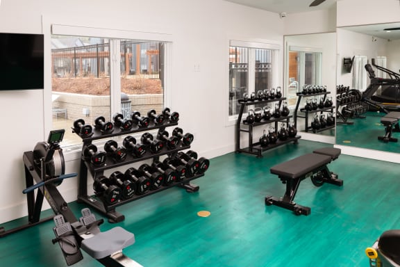 a gym with weights and other exercise equipment on a green floor