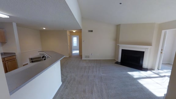 Fireplace in Select Units