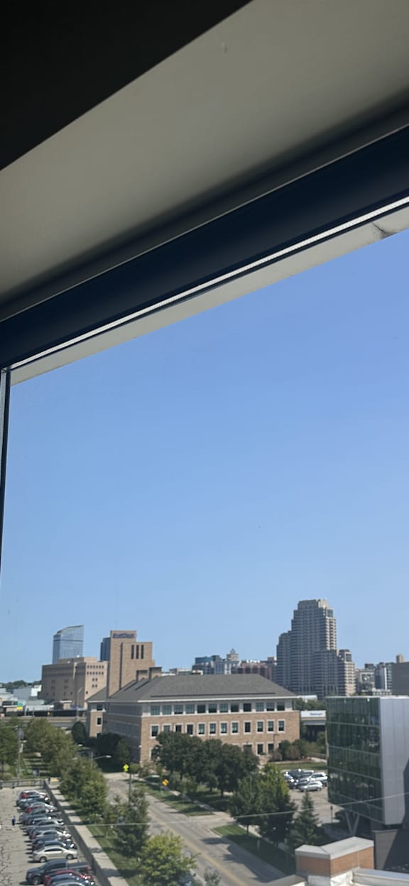 downtown view, bedroom