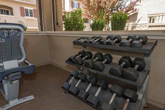 A set of dumbbells on a rack in a room.