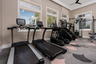 A room with a treadmill, rowing machine, and stationary bike.