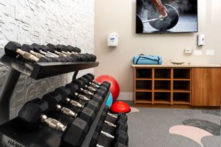 A gym with a row of dumbbells on a rack.