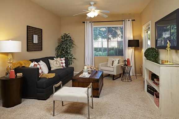 A living room with a black couch, a white chair, and a wooden coffee table.
