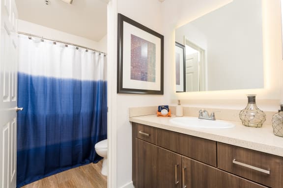 Designer Bathroom Suites at The Preston Miracle Mile Apartments, Los Angeles, CA, California
