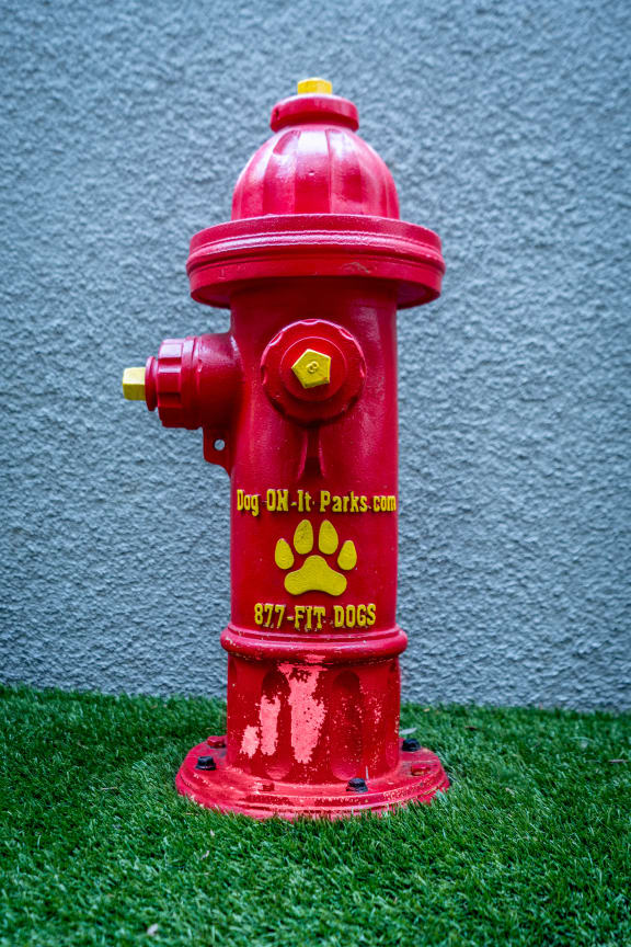 Fire hydrant at pet park at The Preston Miracle Mile Apartments, California