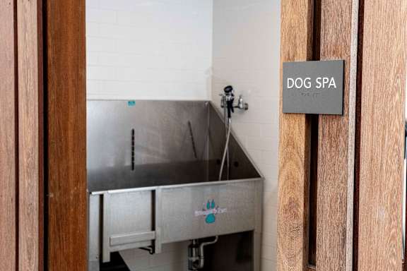 A dog spa sign is on a door.