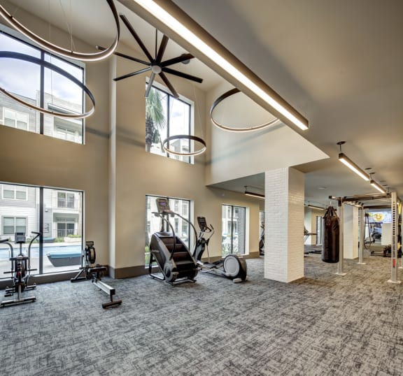 the gym at the monarch luxury apartments in des moinesaz at Arise Riverside, Texas, 78741