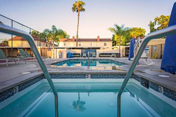 A pool with a palm tree in the background at Nola 624 Apartments, West Covina, California