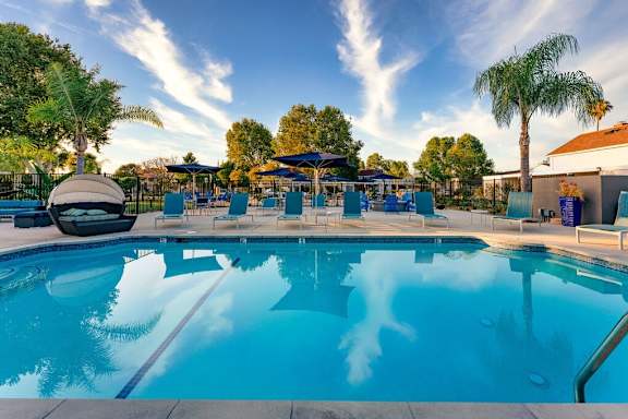 A large outdoor swimming pool surrounded by palm trees and lounge chairs at Nola 624 Apartments, California