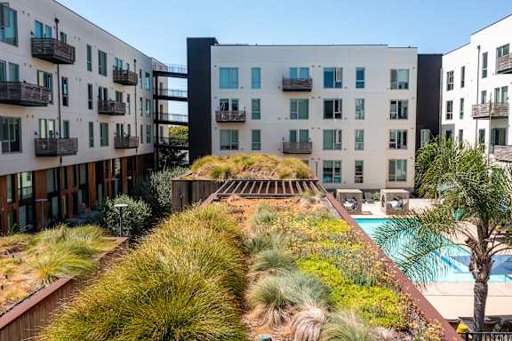 A pool is surrounded by a grassy area and palm trees.