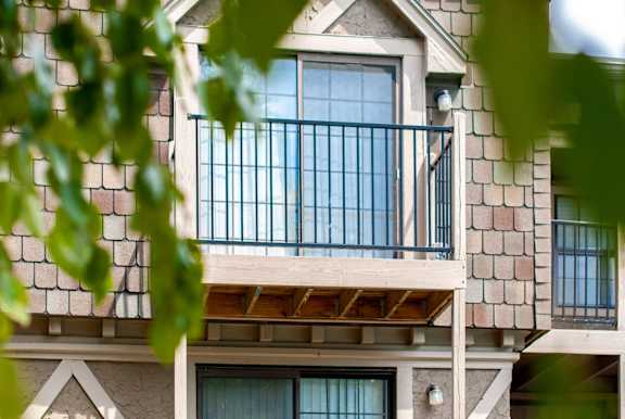 A balcony with a railing and a window is seen through the leaves.