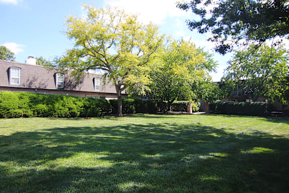A house with a tree in front of it.