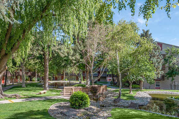 A park with a pond, trees, and a bench.