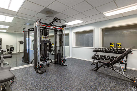 A gym with a variety of equipment including a leg press machine, a bench press, and a squat rack.