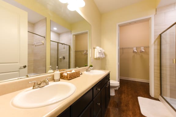 Bathroom Sink with Miroor at Alaqua, Jacksonville, Florida, 32258