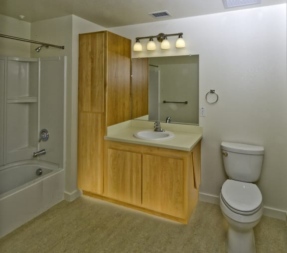 Interior Bathroom