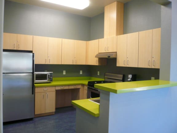 Rec Room Kitchen