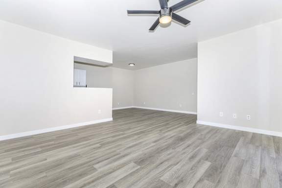 A room with a ceiling fan and light, and a wooden floor.