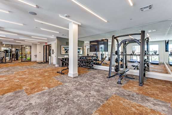 A gym with a variety of equipment including a treadmill, weights, and a bench press.