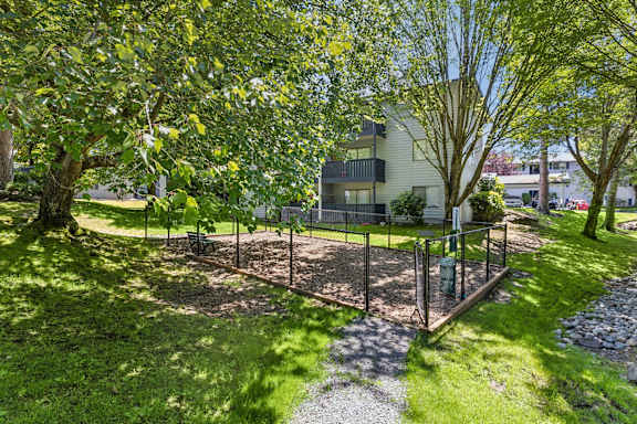 A tree-lined yard with a fence and a house in the background.