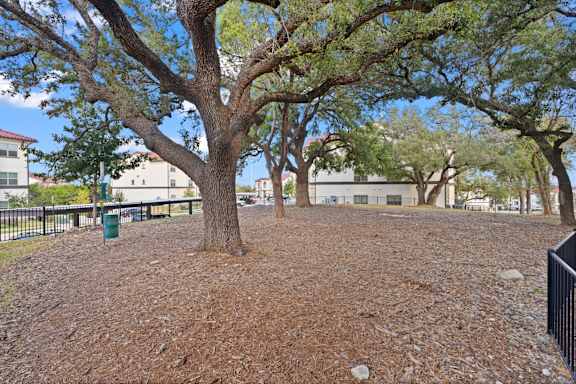 A tree in a park with a fence around it.