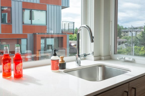 a kitchen sink in front of a window at Wilcox, Washington