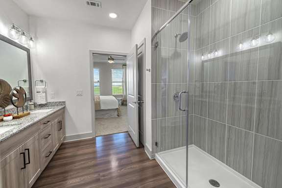 A bathroom with a walk-in shower and a vanity.