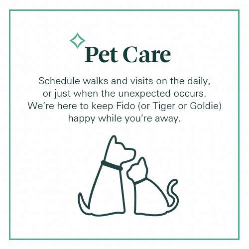 A pet care service advertisement with a cat illustration.