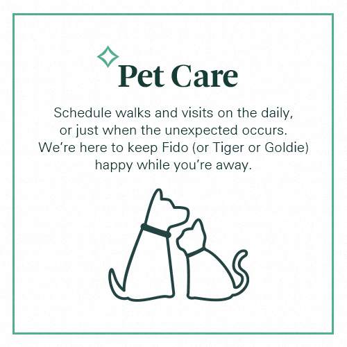 A pet care service poster with a cat illustration.