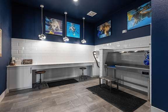 A kitchen with a white counter and a stainless steel oven.